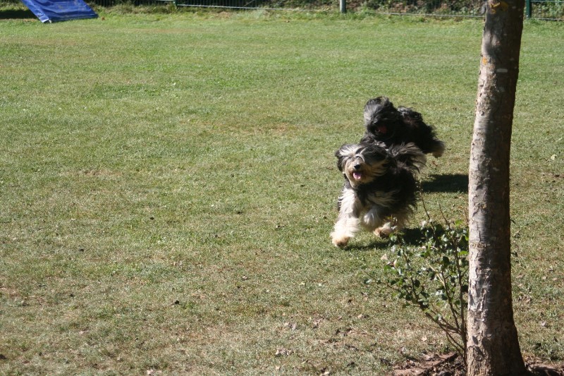 ../Images/Bild 041.jpg